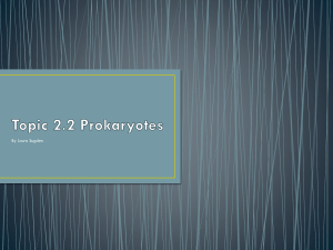 Topic 2.2 Prokaryotes