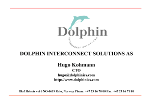 DOLPHIN INTERCONNECT SOLUTIONS, INC.