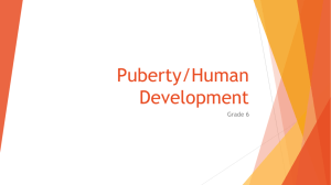 Puberty/Human Development