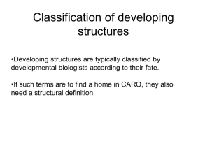 Developing_structure_types