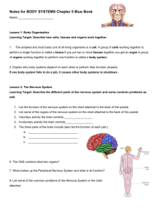 Learning Target: Describe six ways to protect your body systems