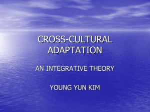 cross-cultural adaptation