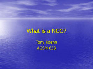 What is a NGO?