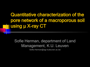Quantitative characterization of the pore network and