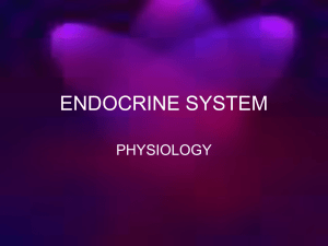 9 Endocrine