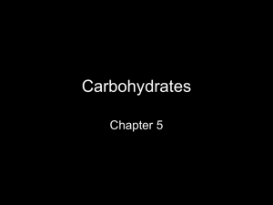 Carbohydrates: The Main Energy Food