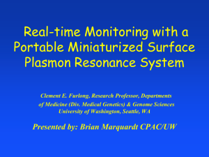 Real-time Monitoring with a Portable Miniaturized Surface Plasmon