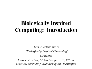 Biologically Inspired Computing - Mathematical & Computer Sciences