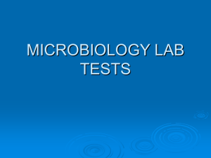 microbiology lab tests