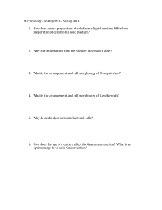 Microbiology Lab Report 3 – Spring 2016 How does smear