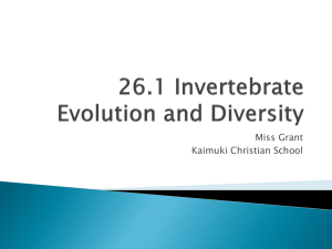 26.1 Invertebrate Evolution and Diversity