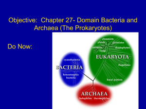 chapter 27- Bacteria