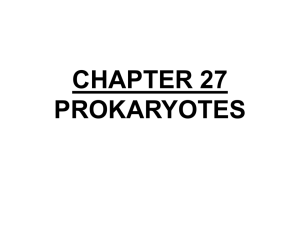 Unit 10 Simple Life Forms Chp 27 Prokaryotic