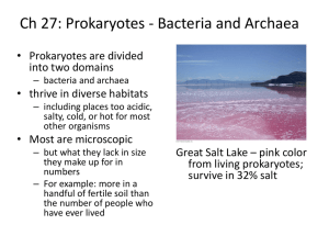 Bacteria and Archaea Ch 27