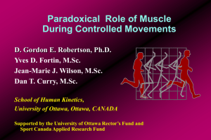 Paradoxical Role of Muscle During Controlled Movements D