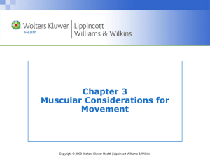 Chapter 3 Muscular Considerations for Movement