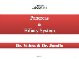 L3-Pancreas & Biliary System 2014
