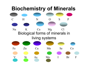 Biochemistry of Minerals