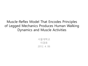 Muscle-Reflex Model That Encodes Principles of
