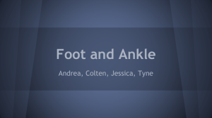 Foot and Ankle