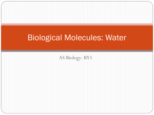Water - csfcbiology