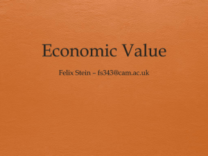 Economic Value - WordPress.com