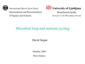 Microbial loop and nutrient cycling