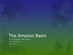 The Amazon Basin