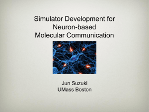 Prof. Suzuki slides "Simulator Development for Neuron