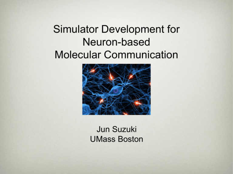 prof-suzuki-slides-simulator-development-for-neuron