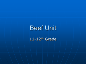 Beef Unit