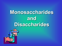 Carbohydrate Worksheet Answer Key