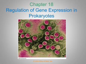 Chapter 19 Regulation of Gene Expression in Prokaryotes and Their