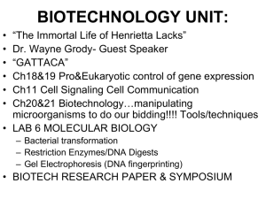 Control of Gene Expression