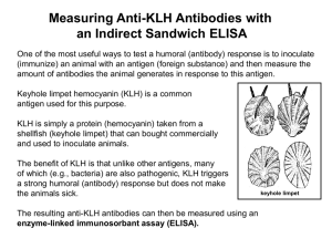 KLH and ELISA