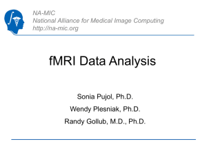 fMRI Data Analysis in Slicer - National Alliance for Medical Image