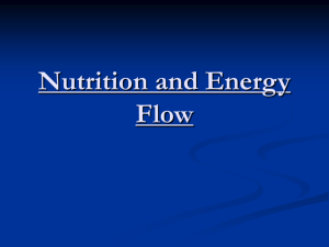 Nutrition and Energy Flow I. How Organisms Obtain Energy