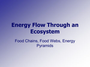 Energy Flow Power Point
