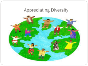 Open-Ended Definition of Diversity