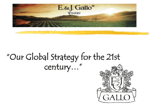 E.& J. Gallo Winery/Sales Mgmt. Dev.