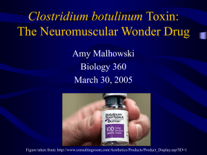 Clostridium botulinum Toxin: Friend or Foe?