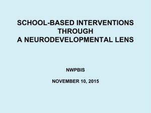 School Based Interventions through a Neurodevelopmental Lens