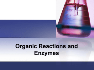 Organic Chemistry and Enzymes