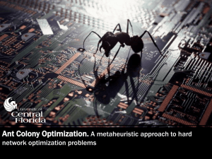 Ant Colony Optimization.