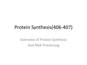 Protein Synthesis(406-407)