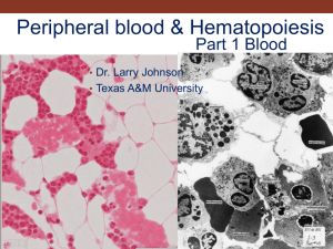 10. Peripheral Blood & Hematopoiesis - PEER