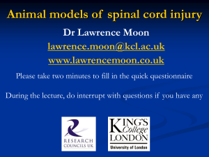 Biodegradable scaffolds for spinal cord injury