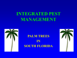 integrated pest management - IPM Florida