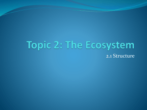 Topic 2: The Ecosystem