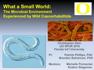 What a small world: An Analysis of the Microbial